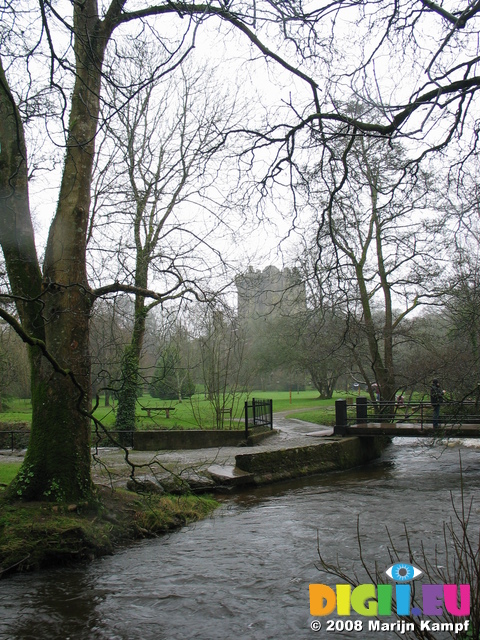 24787 River at Blarney Castle